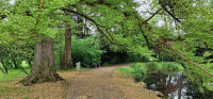 Sarasinpark