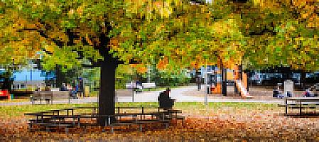 Parc Gourgas